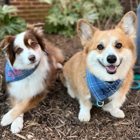 Flannel Dog Bandanas Embroidered with a Name