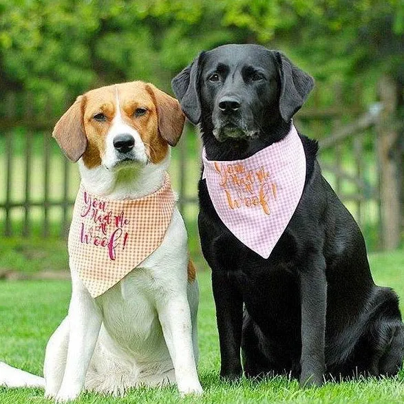 You Had Me at Woof! Embroidered Dog Bandana