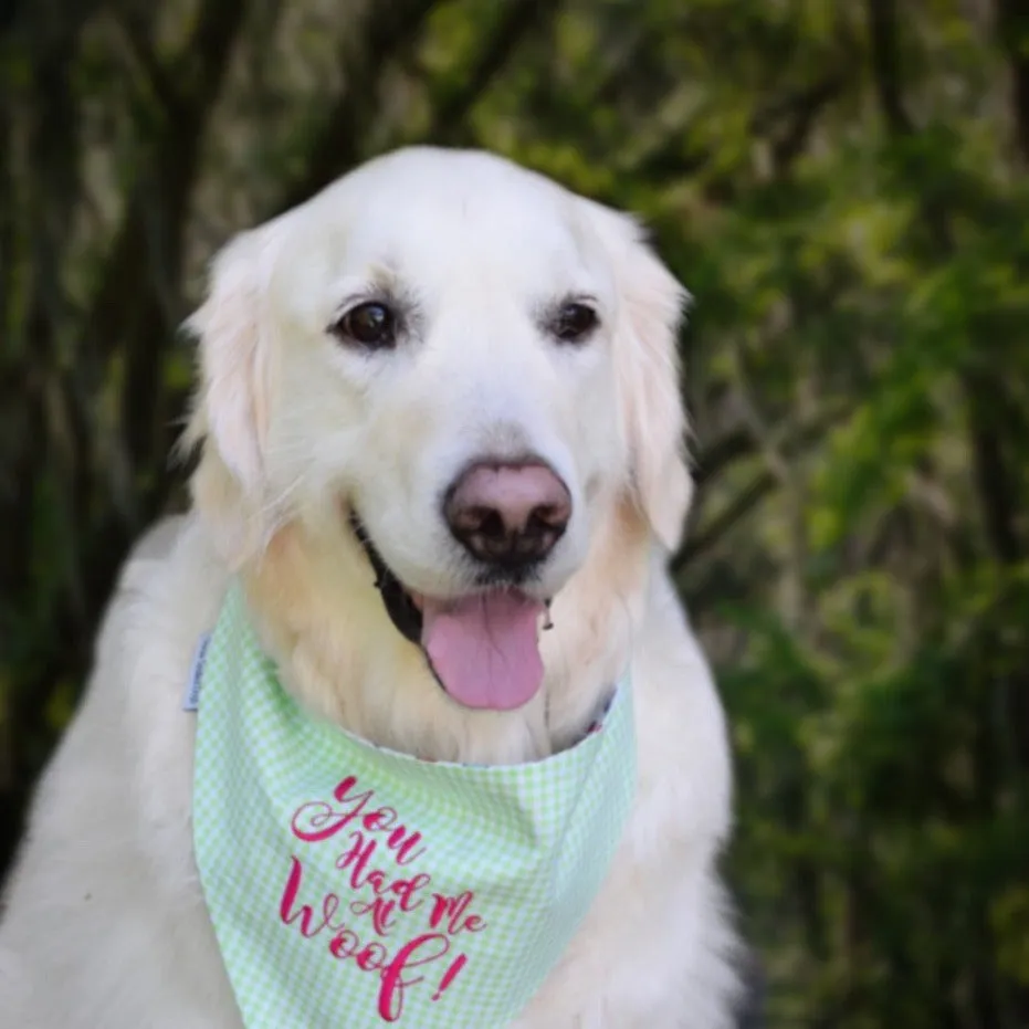 You Had Me at Woof! Embroidered Dog Bandana