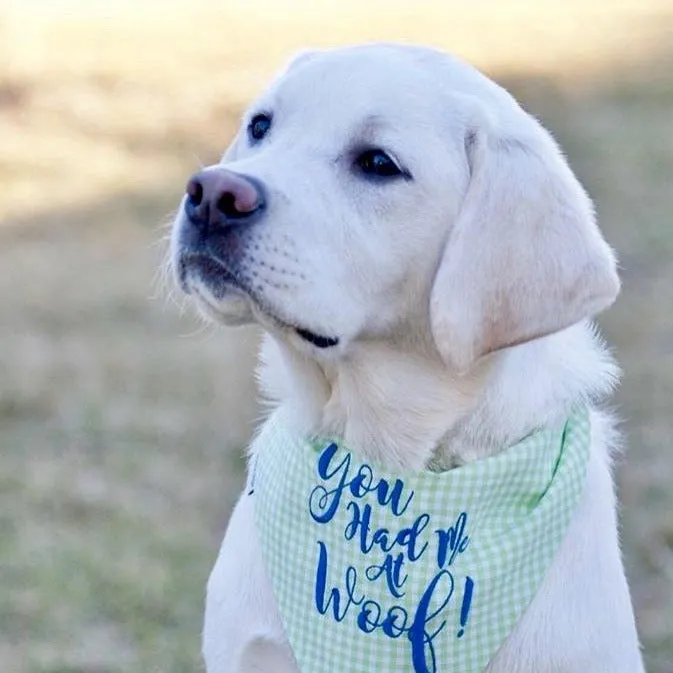 You Had Me at Woof! Embroidered Dog Bandana