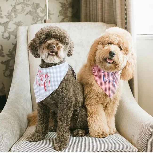 You Had Me at Woof! Embroidered Dog Bandana